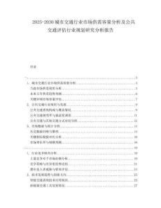 2025-2030城市交通行業(yè)市場供需容量分析及公共交通評估行業(yè)規(guī)劃研究分析報告
