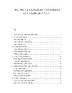 2025-2030飛空器結(jié)冰防除系統(tǒng)行業(yè)市場(chǎng)供需分析及投資評(píng)估規(guī)劃分析研究報(bào)告
