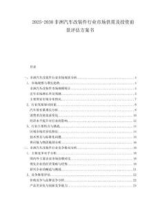 2025-2030非洲汽車改裝件行業(yè)市場供需及投資前景評估方案書