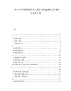 2025-2030供應(yīng)鏈管理行業(yè)市場(chǎng)深度分析及未來(lái)收益全面研判