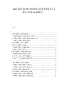2025-2030太陽能電池片行業(yè)市場發(fā)展策略研究及投資與發(fā)展方向研判報告