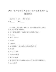 2025 年大學計算機基礎(chǔ)（插件使用實操）試題及答案