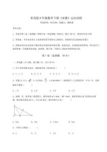 達(dá)標(biāo)測試青島版8年級數(shù)學(xué)下冊《實數(shù)》定向訓(xùn)練試題（含解析）