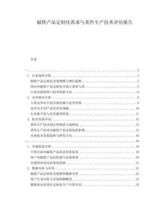 磁鐵產(chǎn)品定制化需求與柔性生產(chǎn)技術(shù)評(píng)估報(bào)告