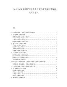 2025-2030中國(guó)智能機(jī)器人智能效率市場(chǎng)運(yùn)營(yíng)現(xiàn)狀及投資建議