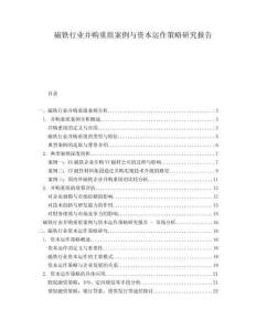 磁鐵行業(yè)并購(gòu)重組案例與資本運(yùn)作策略研究報(bào)告