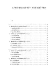 磁共振成像超導(dǎo)磁體維護(hù)市場(chǎng)需求預(yù)測(cè)分析報(bào)告