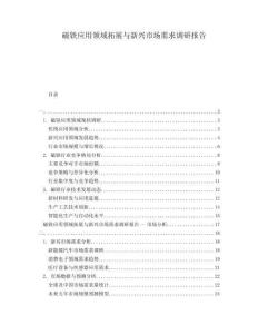 磁鐵應(yīng)用領(lǐng)域拓展與新興市場需求調(diào)研報告
