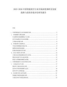 2025-2030中國智能夜燈行業(yè)市場深度調(diào)研及發(fā)展趨勢與投資價值評估研究報告