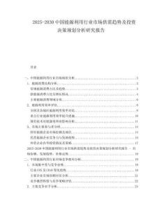 2025-2030中國(guó)能源利用行業(yè)市場(chǎng)供需趨勢(shì)及投資決策規(guī)劃分析研究報(bào)告