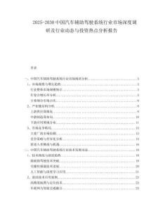 2025-2030中國(guó)汽車(chē)輔助駕駛系統(tǒng)行業(yè)市場(chǎng)深度調(diào)研及行業(yè)動(dòng)態(tài)與投資熱點(diǎn)分析報(bào)告