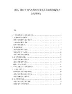 2025-2030中國汽車售后行業(yè)市場供需格局投資評(píng)估發(fā)展規(guī)劃