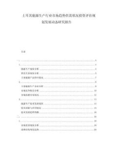 土耳其能源生產(chǎn)行業(yè)市場趨勢供需狀況投資評估規(guī)劃發(fā)展動態(tài)研究報告