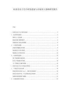 硅基光電子芯片研發(fā)進(jìn)展與市場導(dǎo)入策略研究報(bào)告