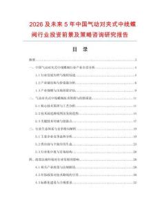 2026及未來5年中國氣動對夾式中線蝶閥行業投資前景及策略咨詢研究報告