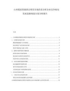 山西煤炭資源清潔利用市場供需分析企業(yè)競爭格局發(fā)展思路規(guī)劃方案分析報告
