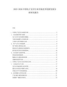 2025-2030中國(guó)電子支付行業(yè)市場(chǎng)競(jìng)爭(zhēng)創(chuàng)新發(fā)展分析研究報(bào)告