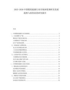 2025-2030中國煤炭能源行業(yè)市場深度調(diào)研及發(fā)展趨勢與投資前景研究報(bào)告