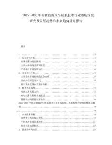 2025-2030中國(guó)新能源汽車(chē)?yán)m(xù)航技術(shù)行業(yè)市場(chǎng)深度研究及發(fā)展趨勢(shì)和未來(lái)趨勢(shì)研究報(bào)告