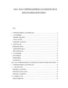2025-2030中國(guó)跨境電商物流行業(yè)市場(chǎng)供需分析及投資評(píng)估規(guī)劃分析研究報(bào)告