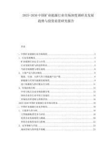 2025-2030中國(guó)礦業(yè)能源行業(yè)市場(chǎng)深度調(diào)研及發(fā)展趨勢(shì)與投資前景研究報(bào)告