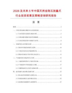 2026及未來(lái)5年中國(guó)天然金剛石測(cè)量爪行業(yè)投資前景及策略咨詢研究報(bào)告