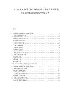 2025-2030中國工業(yè)互聯(lián)網(wǎng)行業(yè)市場深度調(diào)研及發(fā)展趨勢和投資前景預(yù)測研究報(bào)告