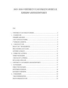 2025-2030中國(guó)存儲(chǔ)芯片行業(yè)市場(chǎng)競(jìng)爭(zhēng)分析報(bào)告及發(fā)展趨勢(shì)與投資前景研究報(bào)告