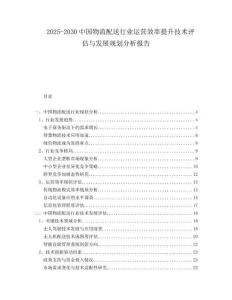2025-2030中國物流配送行業(yè)運營效率提升技術(shù)評估與發(fā)展規(guī)劃分析報告