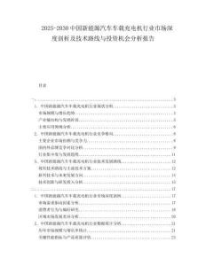 2025-2030中國(guó)新能源汽車(chē)車(chē)載充電機(jī)行業(yè)市場(chǎng)深度剖析及技術(shù)路線與投資機(jī)會(huì)分析報(bào)告
