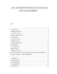 2025-2030智能停車管理系統(tǒng)行業(yè)市場(chǎng)發(fā)展分析及投資與發(fā)展前景預(yù)測(cè)報(bào)告