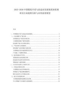 2025-2030中國煤炭開采與洗選業(yè)發(fā)展現(xiàn)狀深度調(diào)研及行業(yè)趨勢分析與應(yīng)用前景展望
