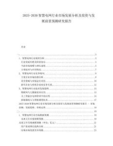 2025-2030智慧電網(wǎng)行業(yè)市場(chǎng)發(fā)展分析及投資與發(fā)展前景預(yù)測(cè)研究報(bào)告