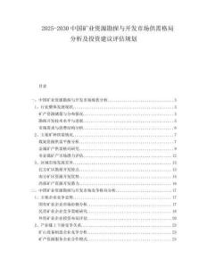 2025-2030中國礦業(yè)資源勘探與開發(fā)市場供需格局分析及投資建議評估規(guī)劃