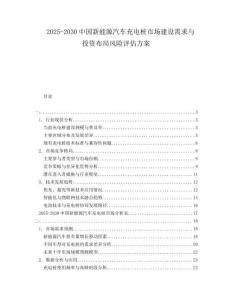 2025-2030中國(guó)新能源汽車充電樁市場(chǎng)建設(shè)需求與投資布局風(fēng)險(xiǎn)評(píng)估方案