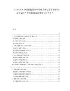 2025-2030中國新能源汽車管理系統(tǒng)行業(yè)市場(chǎng)潛力深度解析及發(fā)展趨勢(shì)和前景規(guī)劃研究報(bào)告