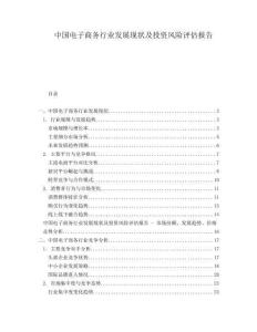 中國電子商務(wù)行業(yè)發(fā)展現(xiàn)狀及投資風(fēng)險(xiǎn)評(píng)估報(bào)告