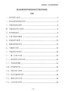廢水處理系統(tǒng)節(jié)能改造項目節(jié)能評估報告