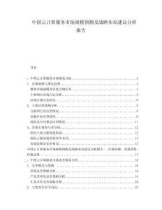 中國(guó)云計(jì)算服務(wù)市場(chǎng)規(guī)模預(yù)測(cè)及戰(zhàn)略布局建議分析報(bào)告