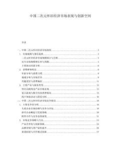 中國二次元懷舊經濟市場表現(xiàn)與創(chuàng)新空間