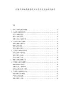 中國農(nóng)業(yè)現(xiàn)代化進(jìn)程及智慧農(nóng)業(yè)發(fā)展前景報(bào)告