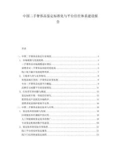 中國二手奢侈品鑒定標(biāo)準(zhǔn)化與平臺(tái)信任體系建設(shè)報(bào)告