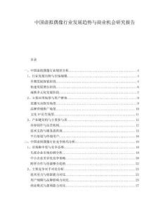 中國(guó)虛擬偶像行業(yè)發(fā)展趨勢(shì)與商業(yè)機(jī)會(huì)研究報(bào)告