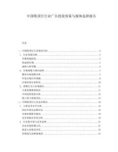 中國吸頂燈行業(yè)廣告投放效果與媒體選擇報告