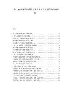 海上石油開采行業(yè)技術(shù)挑戰(zhàn)分析及投資布局策略研究