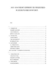 2025-2030智能廣告設(shè)備服務(wù)行業(yè)市場現(xiàn)狀供應(yīng)分析及投資評估規(guī)劃分析研究報告