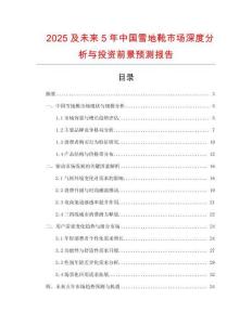 2025及未來5年中國雪地靴市場深度分析與投資前景預(yù)測報告