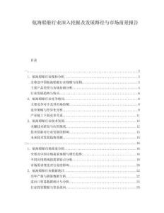 航海船舶行業(yè)深入挖掘及發(fā)展路徑與市場前景報告