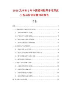 2025及未來5年中國塑料鞋幫市場深度分析與投資前景預(yù)測報告