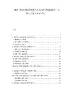 2025-2030英國新能源汽車電機(jī)行業(yè)市場現(xiàn)狀與投資布局建議分析報(bào)告